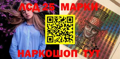 крисы Кулебаки