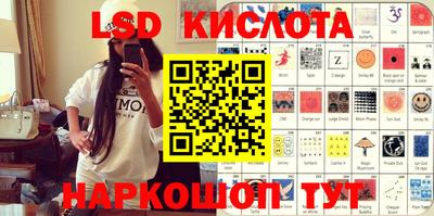 крисы Кулебаки