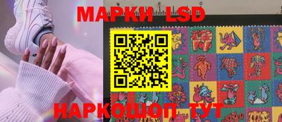 крисы Кулебаки